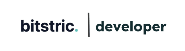 Bitstric Developer Logo